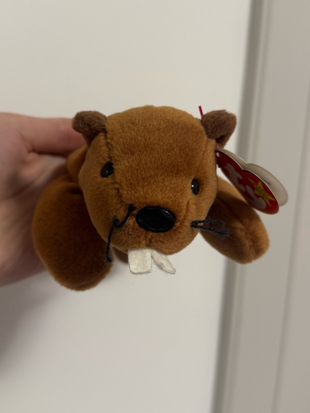 Ty Beanie Baby Bucky the Beaver